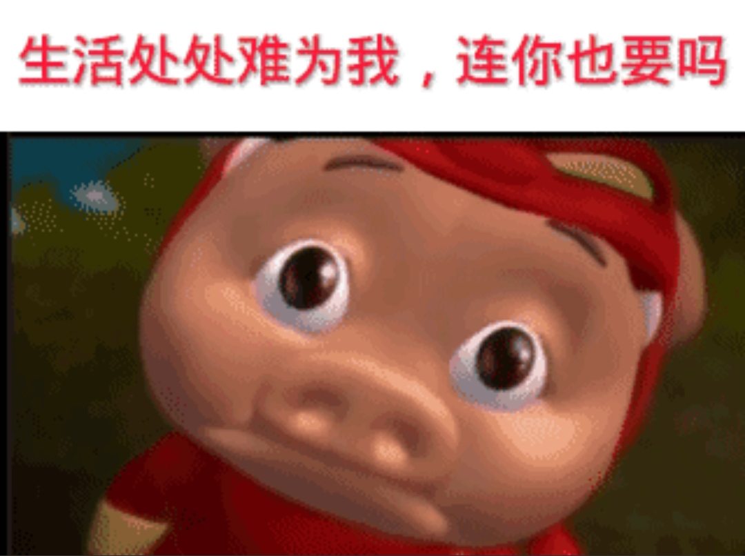 无法加载